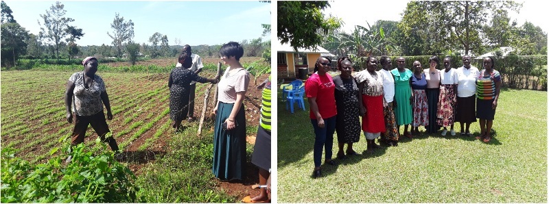 ewa belt sito agroecologia acra